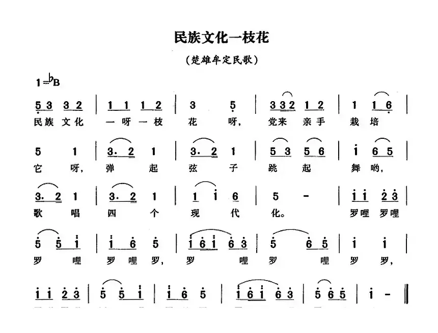 民族文化一枝花