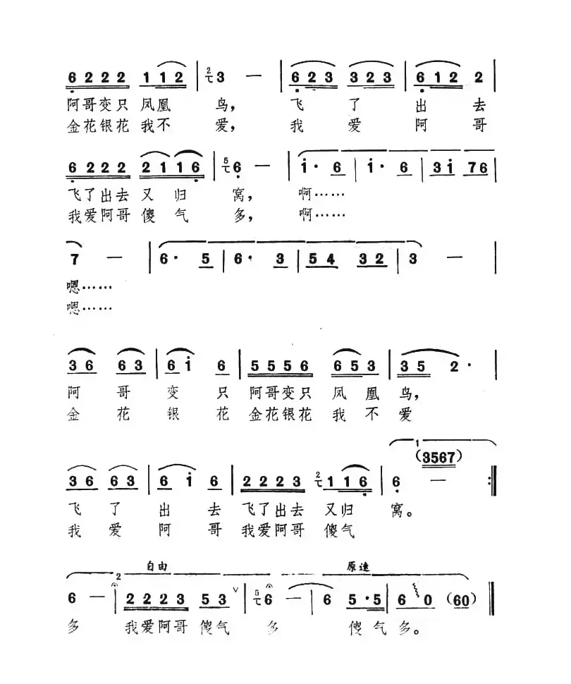 我爱阿哥傻气多