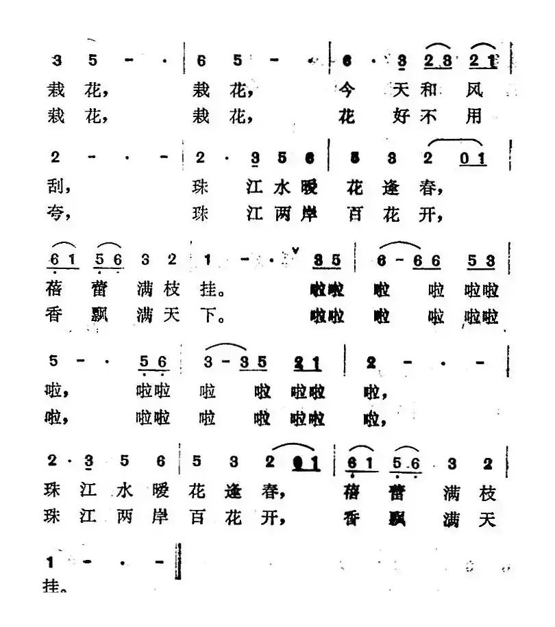 珠江两岸百花开