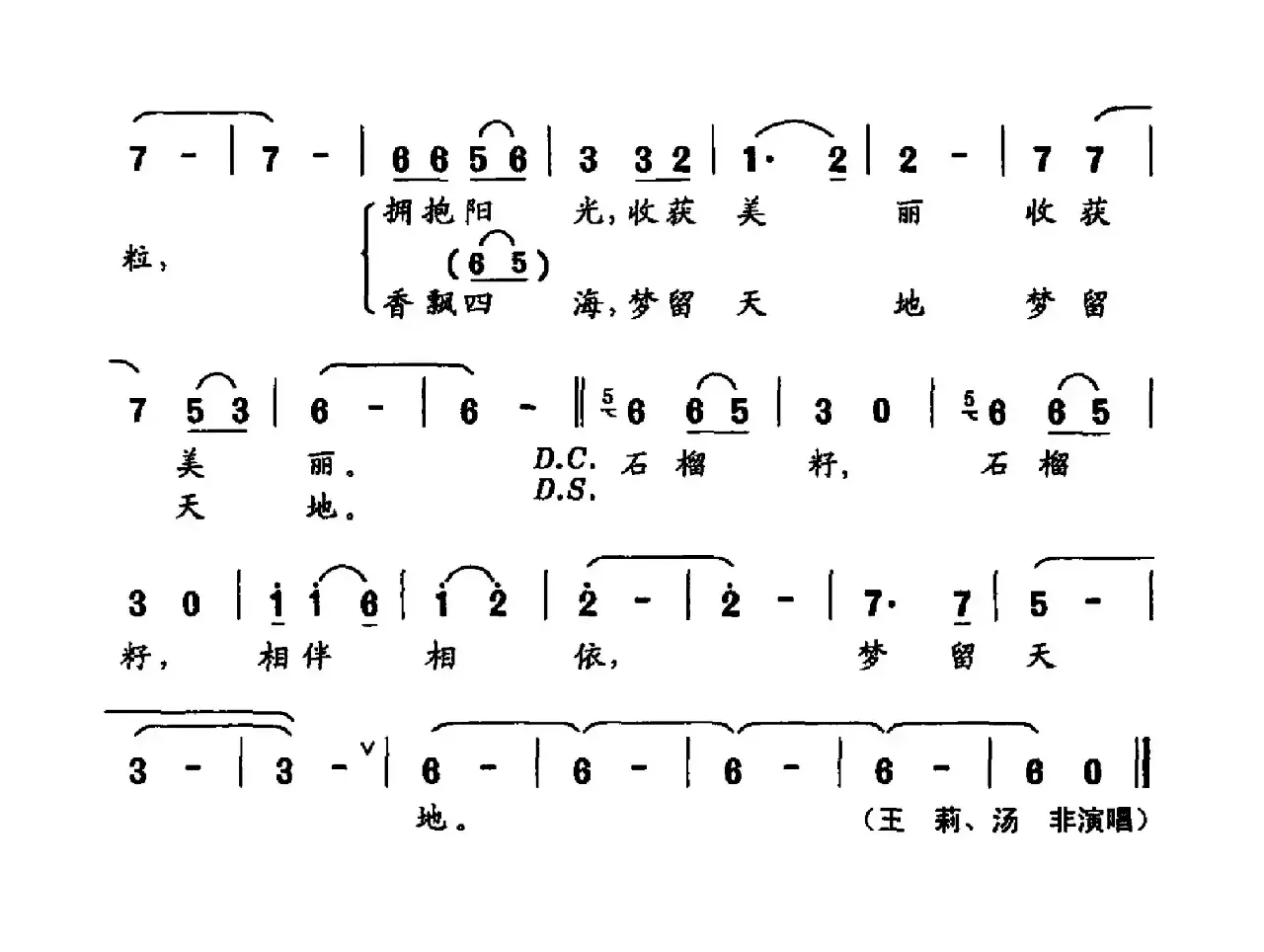 石榴籽