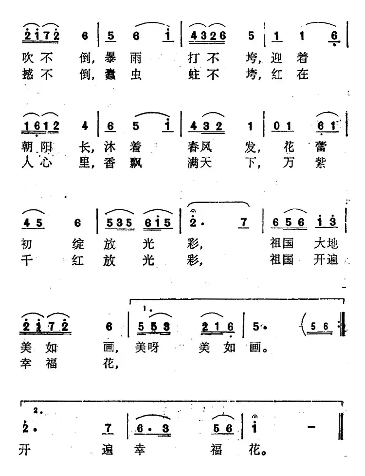 四个现代化是朵幸福花 