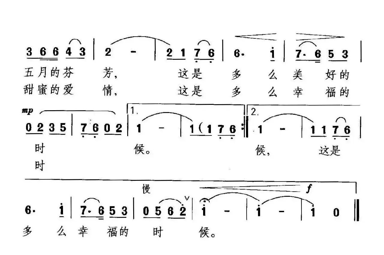 丁香花开的时候