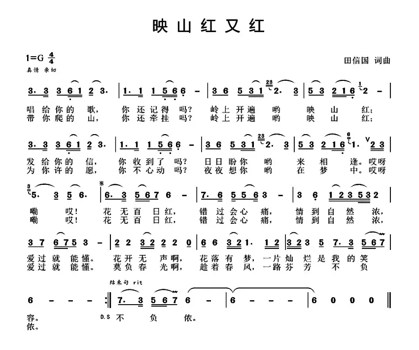 映山红又红