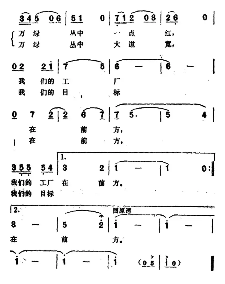 走在林萌大道上