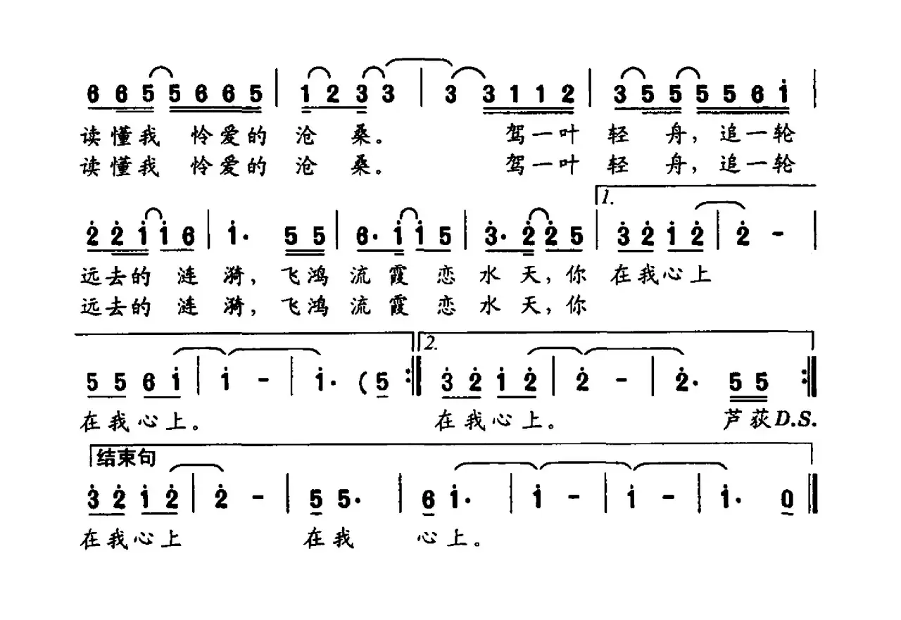 芦花秋韵