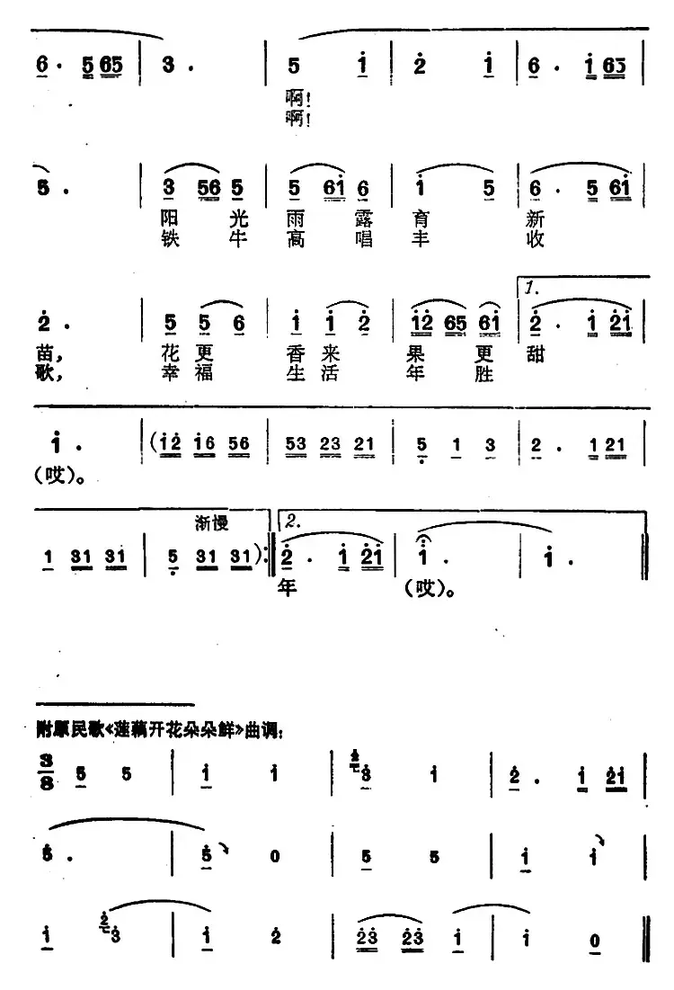 公社花开朵朵鲜