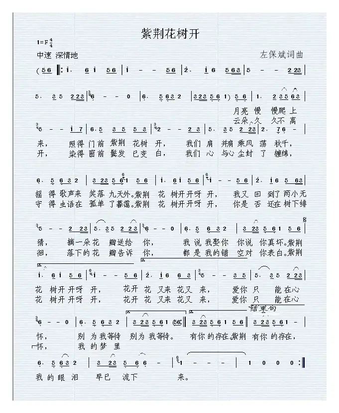 紫荆花树开