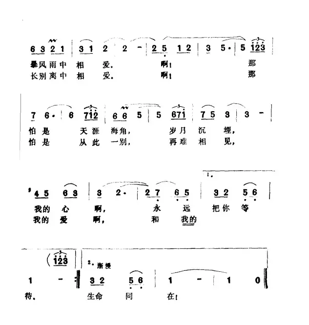 怎能忘怀（电影《第二次握手》插曲）