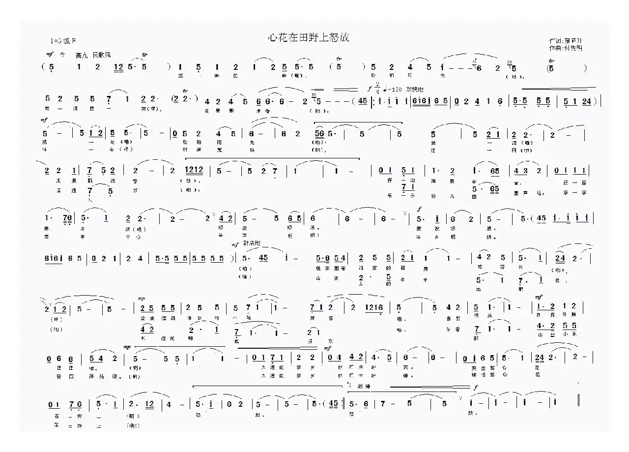 心花在田野上怒放