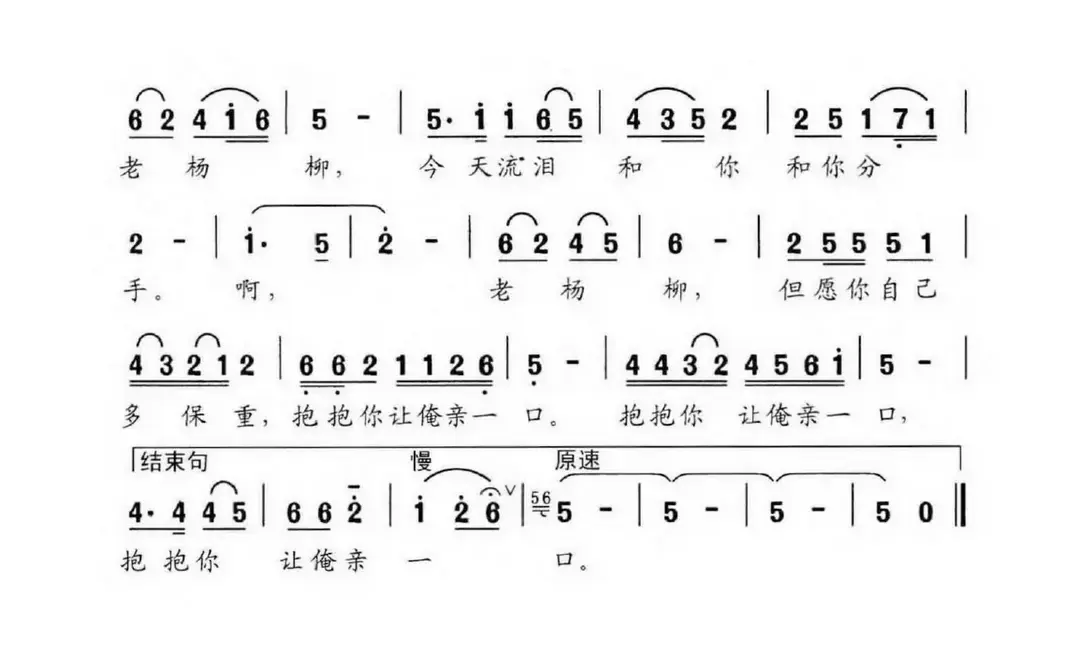 难舍我家的老杨柳