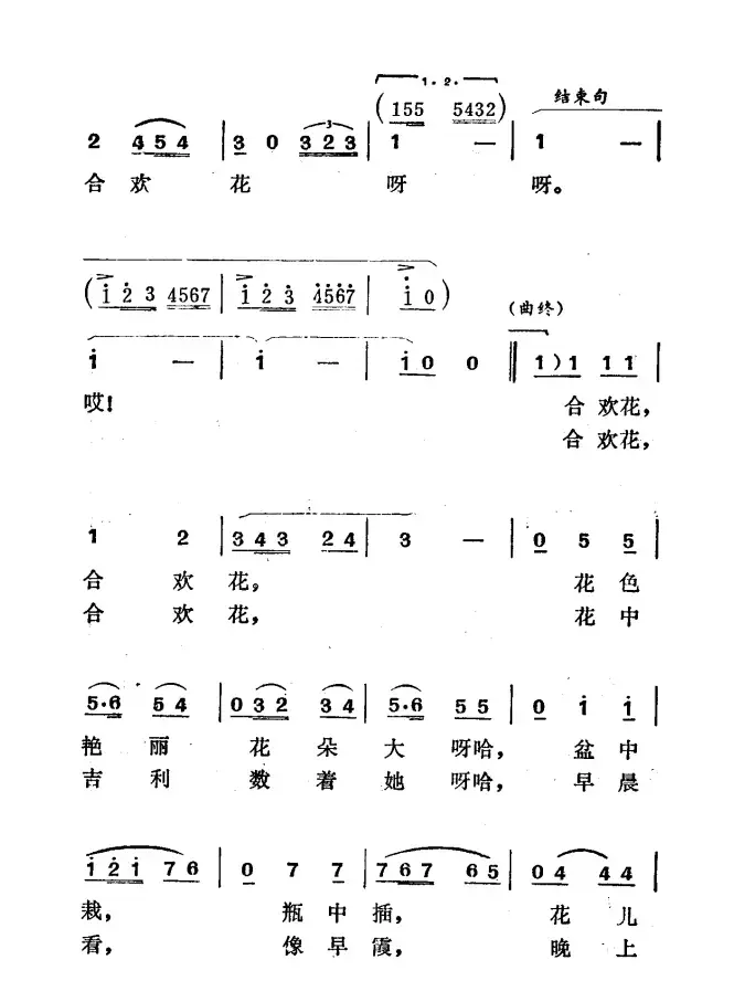 请买一束合欢花