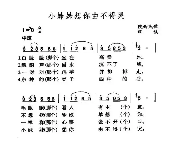 小妹妹想你由不得哭（陕西民歌）