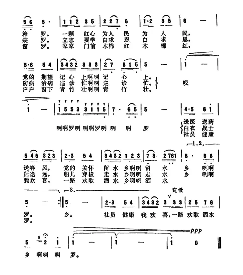 我是水乡的医疗队员