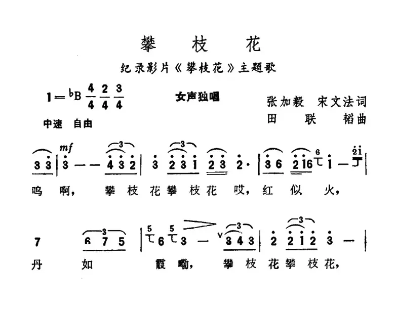 攀枝花（纪录片《攀枝花》主题歌）