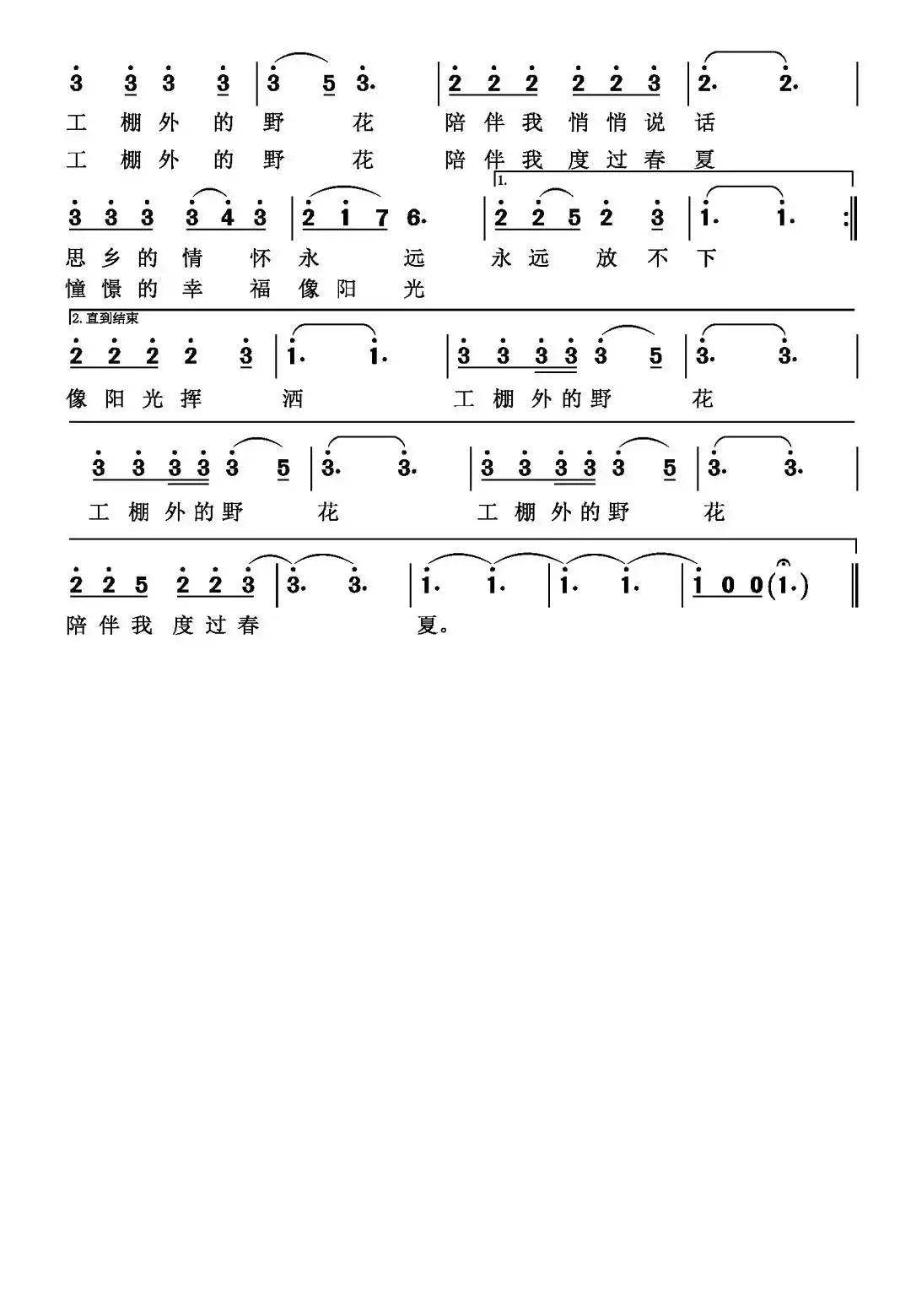 工棚外的野花