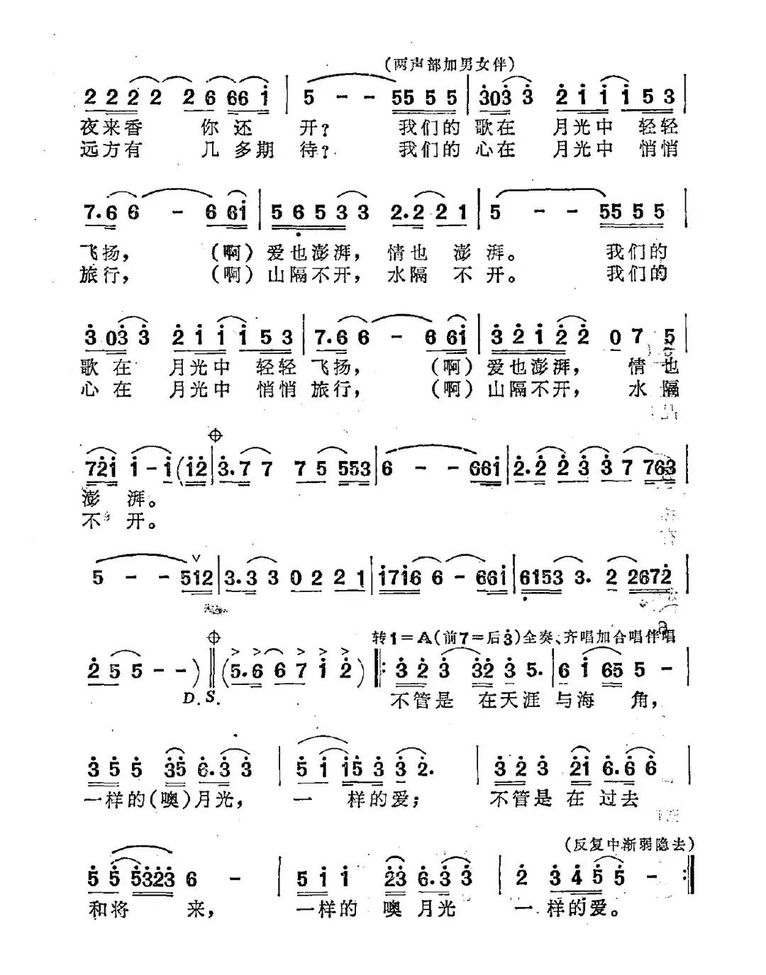 一样的月光一样的爱