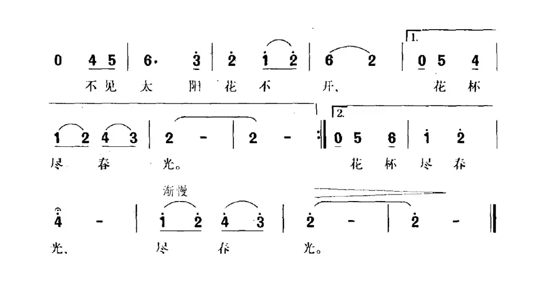 多彩的郁金香