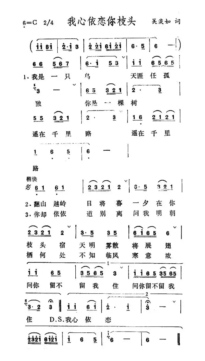 我心依恋你枝头