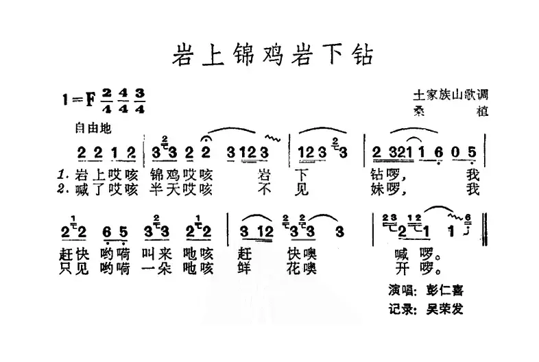 岩上锦鸡岩下钻（土家族山歌）