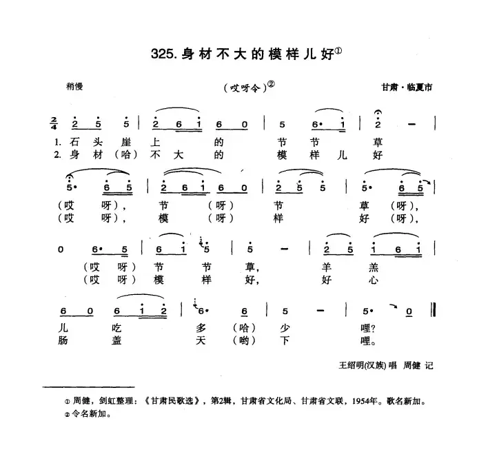 身材不大的模样儿好