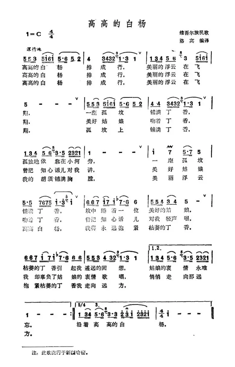 高高的白杨