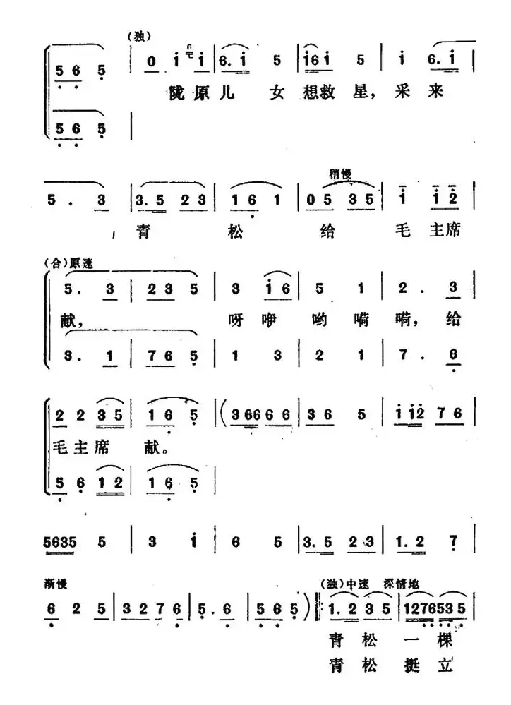 青松献给毛主席（独唱+伴唱）