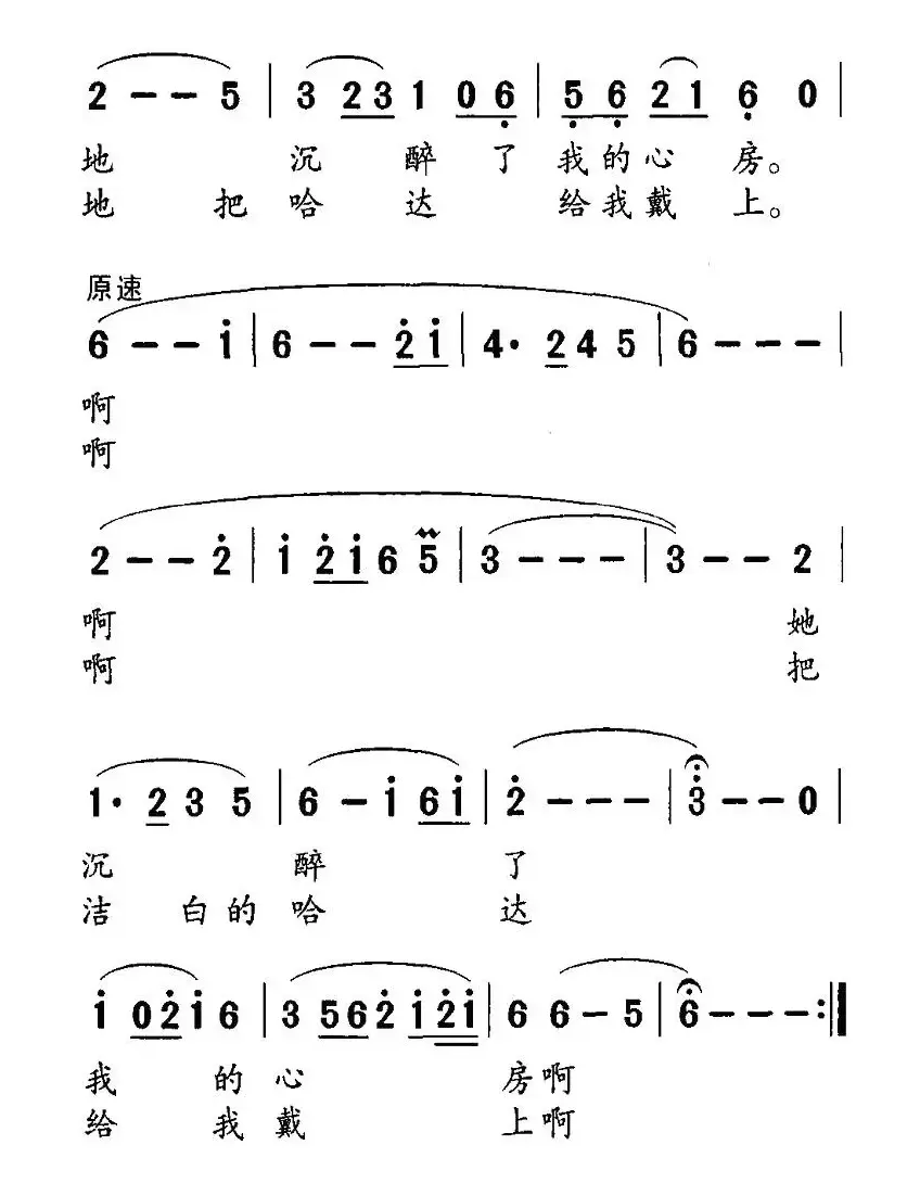 美丽的金银滩上