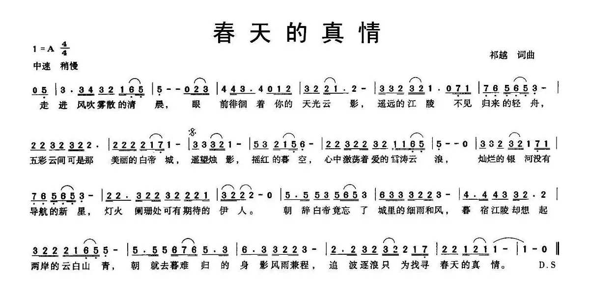 春天的真情