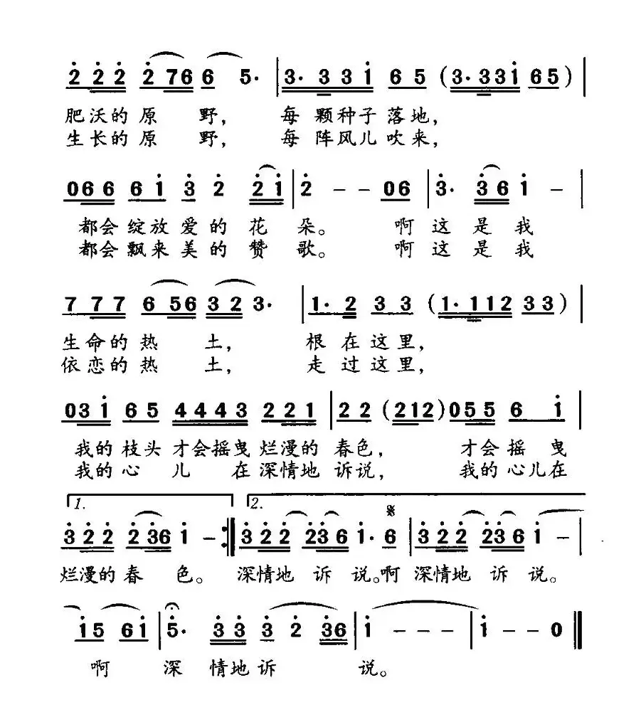 根在这片热土