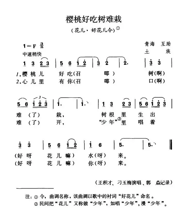 樱桃好吃树难栽（花儿·好花儿令）