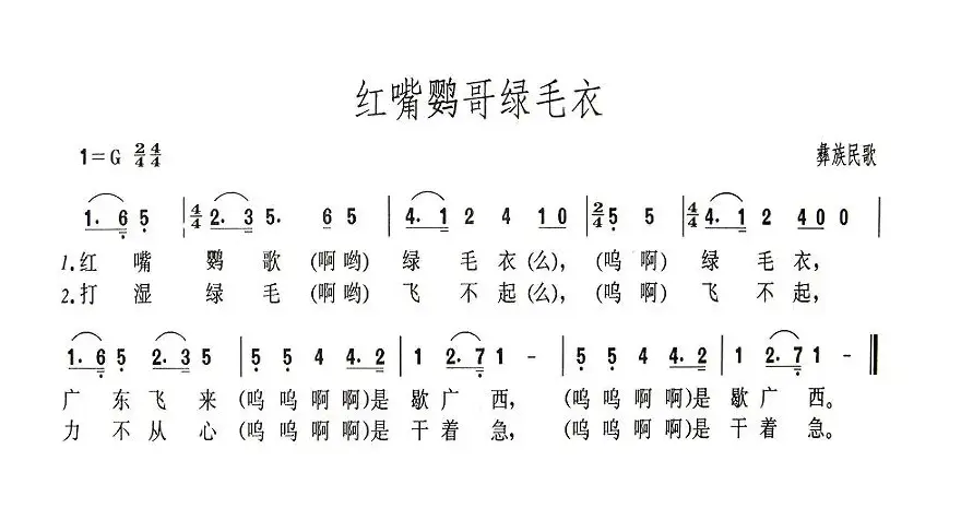 红嘴鹦哥绿毛衣