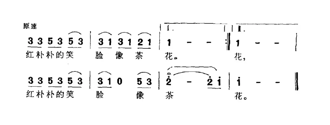 瑶山茶花