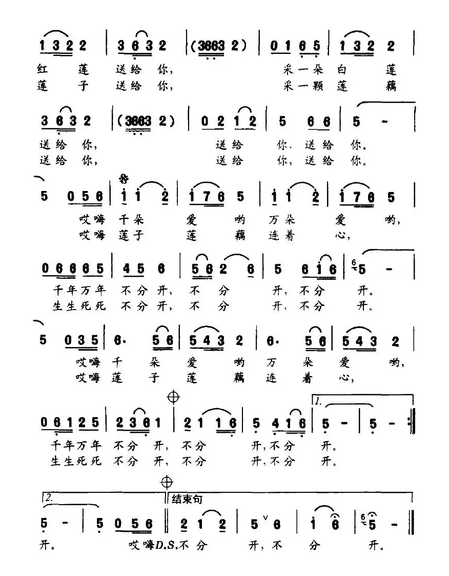 采莲谣（黄小名词 朱沁汀曲）