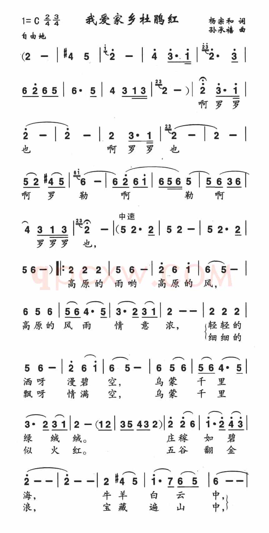 我爱家乡杜鹃红