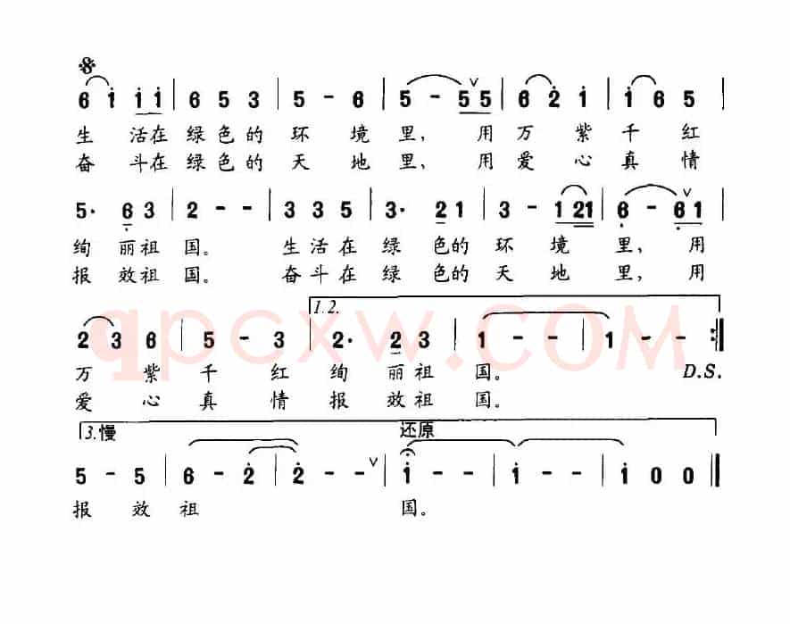 绿色是一支温馨的歌