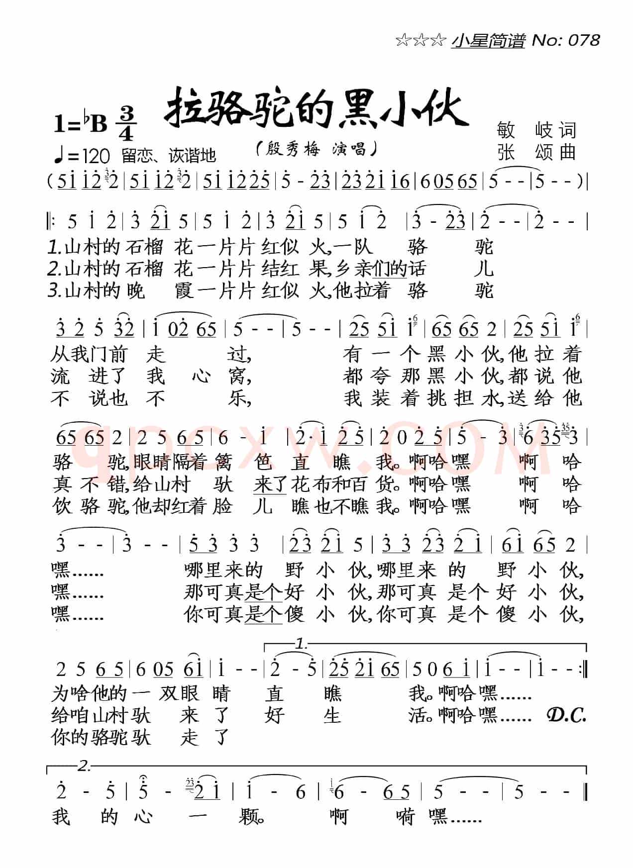拉骆驼的黑小伙