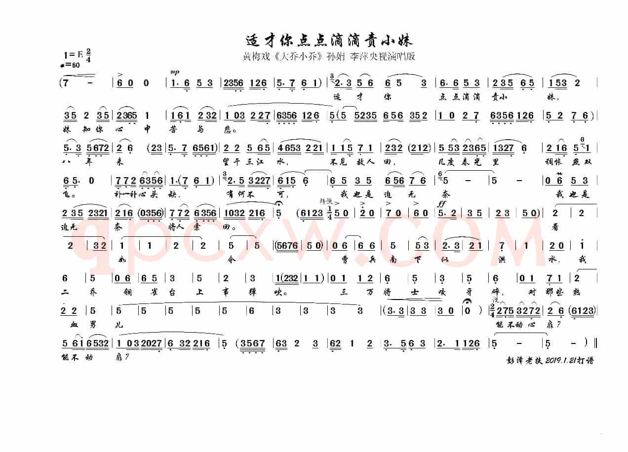 黄梅戏《大乔小乔》适才你点点滴滴责小妹（央视演唱版）