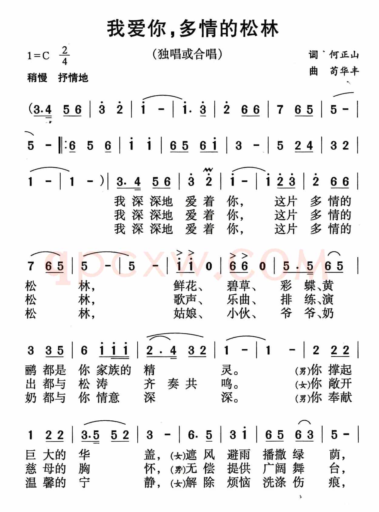 我爱你，多情的松林