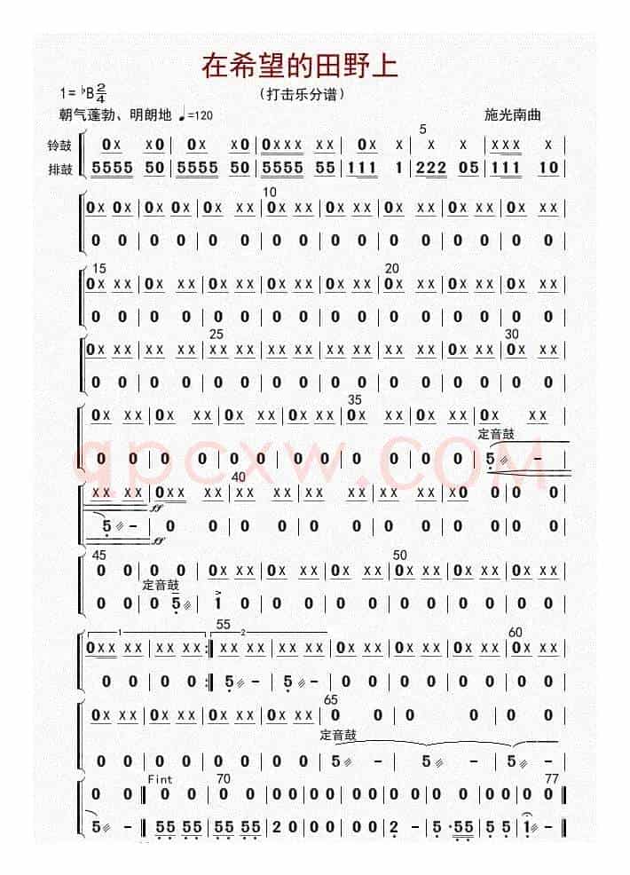 在希望的田野上（打击乐分谱）