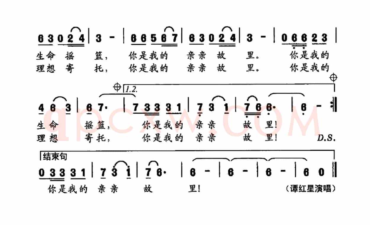 桑植之恋