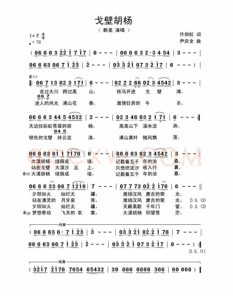 戈壁胡杨