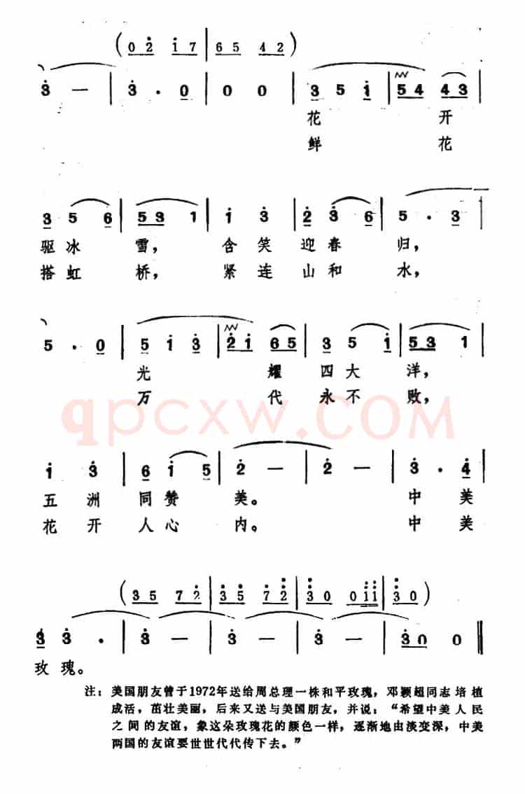 玫瑰，和平玫瑰