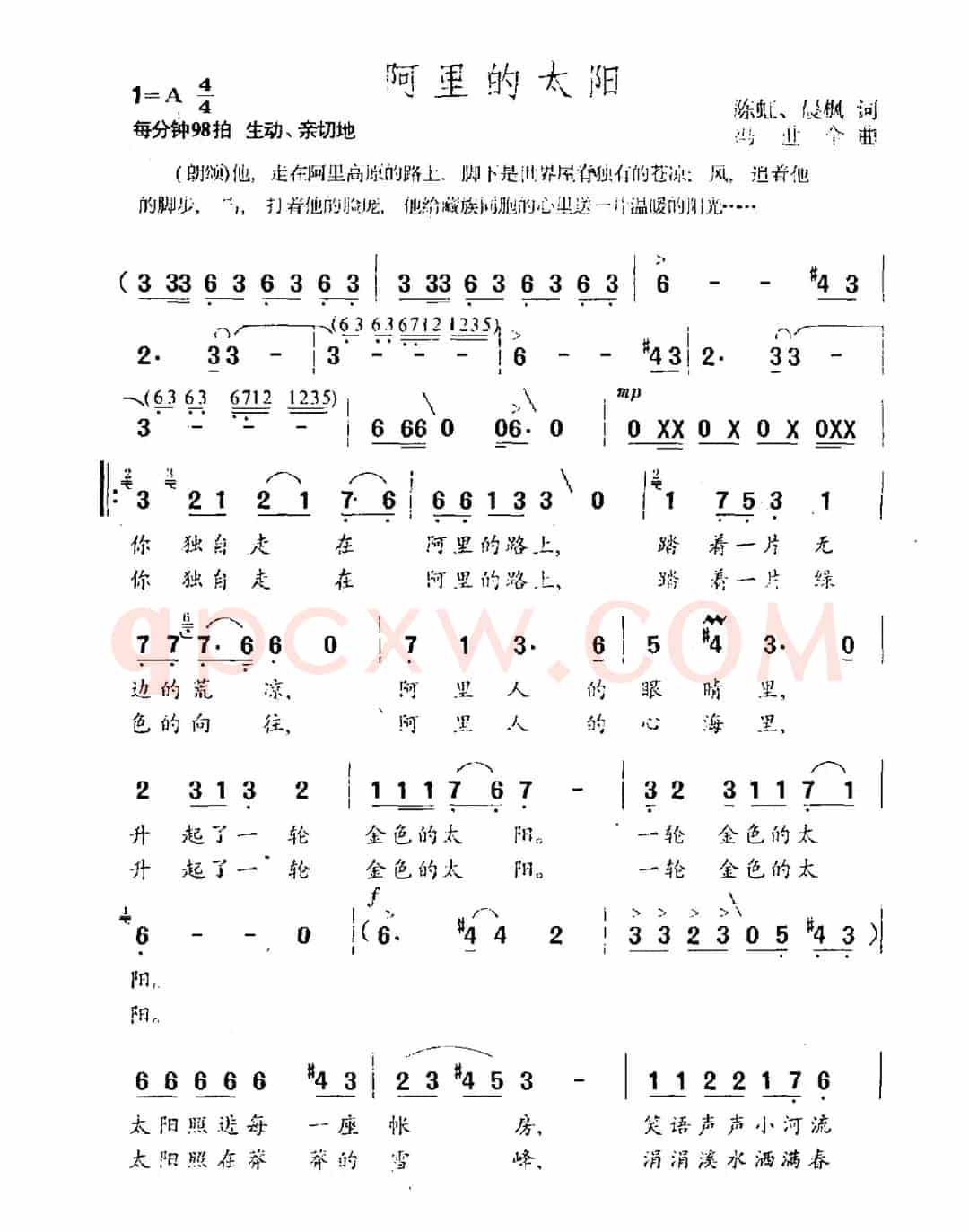 阿里的太阳