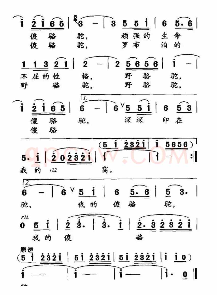 野骆驼 傻骆驼（高枫词 胡绍正曲）