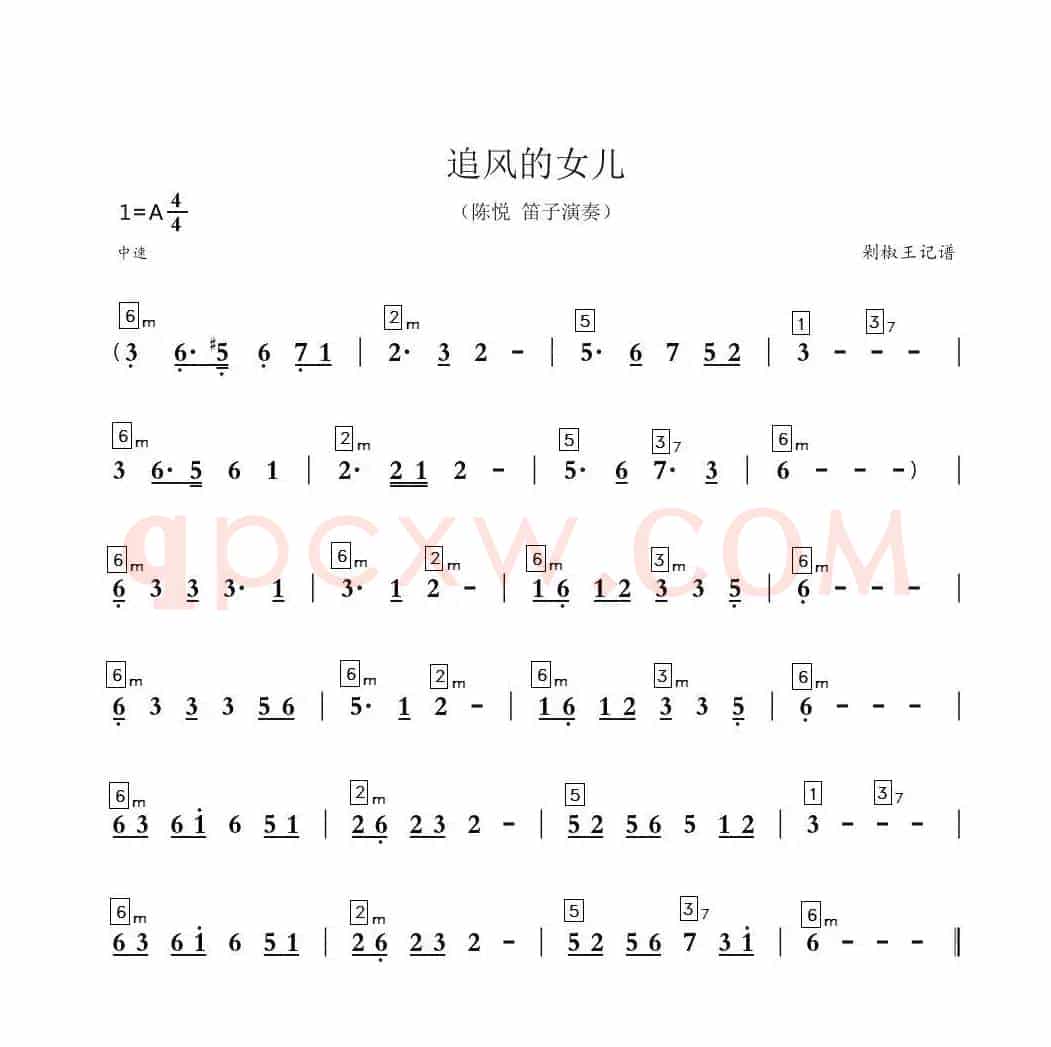 追风的女儿（笛子独奏）