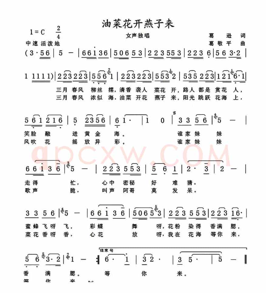 油菜花开燕子来