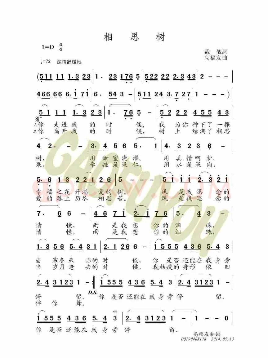 相思树