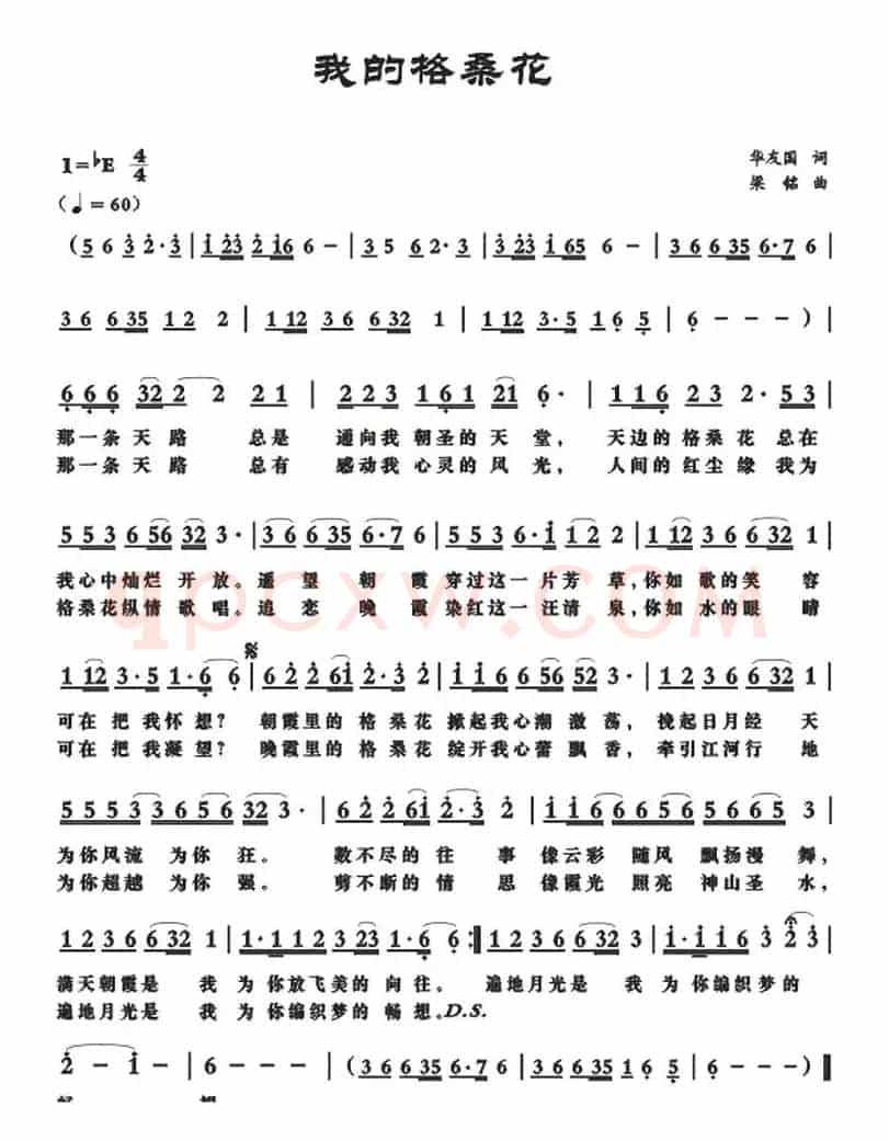我的格桑花（华友国词 梁铭曲）