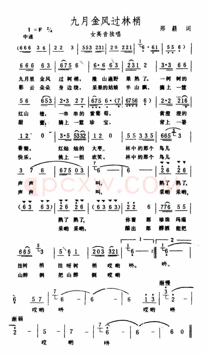 九月金风过树梢