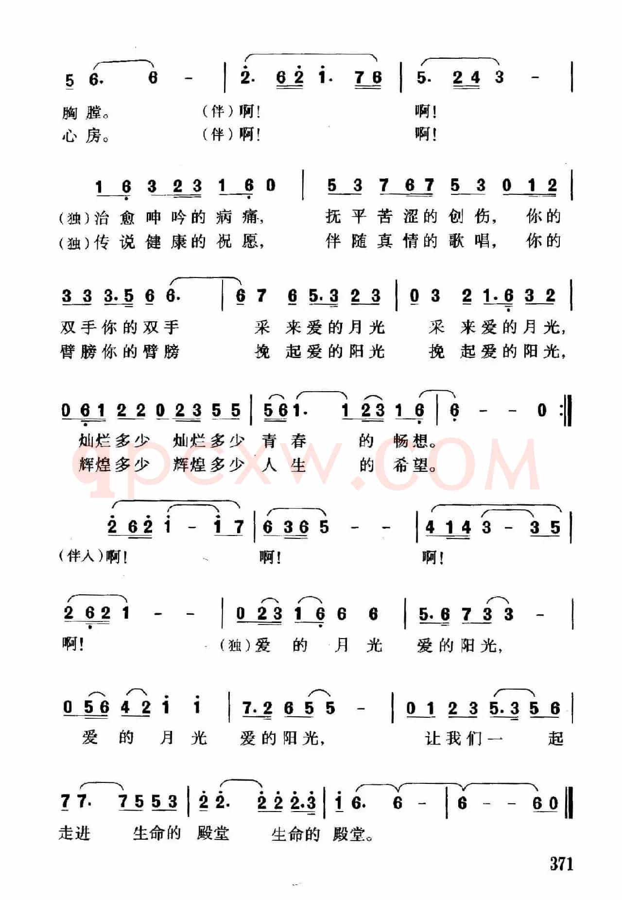 爱的月光爱的阳光（独唱、伴唱）